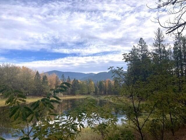 1353 Lake Roosevelt Way, Kettle Falls, WA 99141