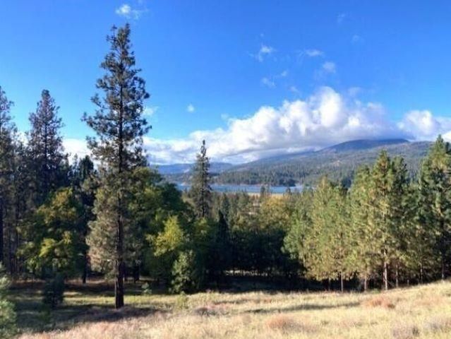 1353 Lake Roosevelt Way, Kettle Falls, WA 99141