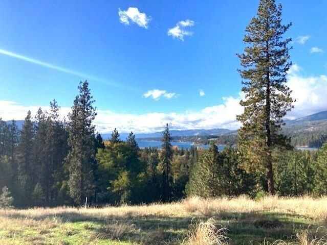 1353 Lake Roosevelt Way, Kettle Falls, WA 99141