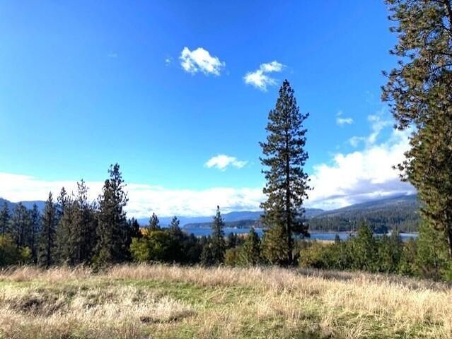 1353 Lake Roosevelt Way, Kettle Falls, WA 99141