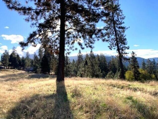 1353 Lake Roosevelt Way, Kettle Falls, WA 99141