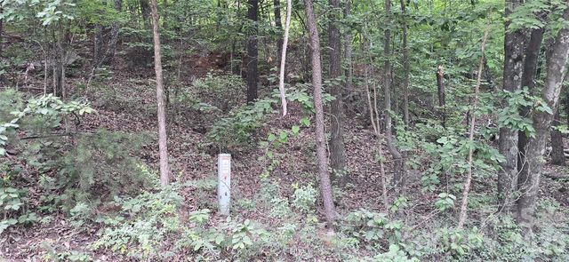 0 Pinnacle Parkway 6, Union Mills, NC 28167