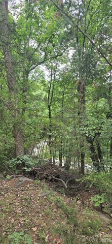 0 Pinnacle Parkway 6, Union Mills, NC 28167