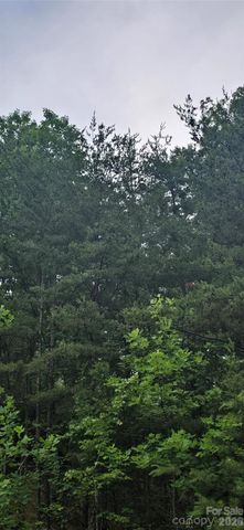 0 Pinnacle Parkway 6, Union Mills, NC 28167
