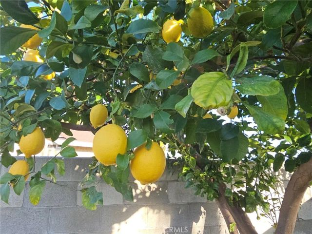 2637 Mirada Street, Highland, CA 92346