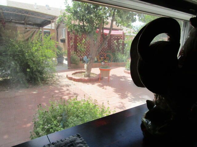 3641 CAMEO Drive, Albuquerque, NM 87105