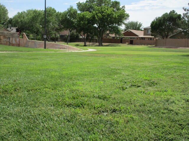 3641 CAMEO Drive, Albuquerque, NM 87105