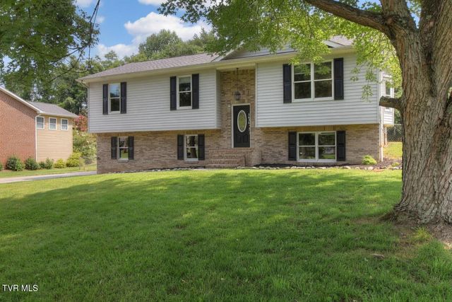 3636 Deland Drive, Kingsport, TN 37664
