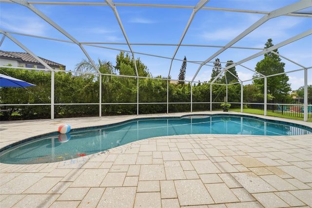 18043 COZUMEL ISLE DRIVE, Tampa, FL 33647