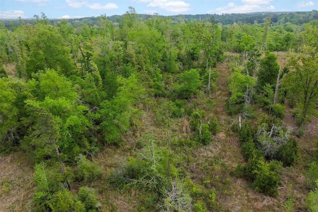 173 Townley Ranch Drive, Huntsville, TX 77320