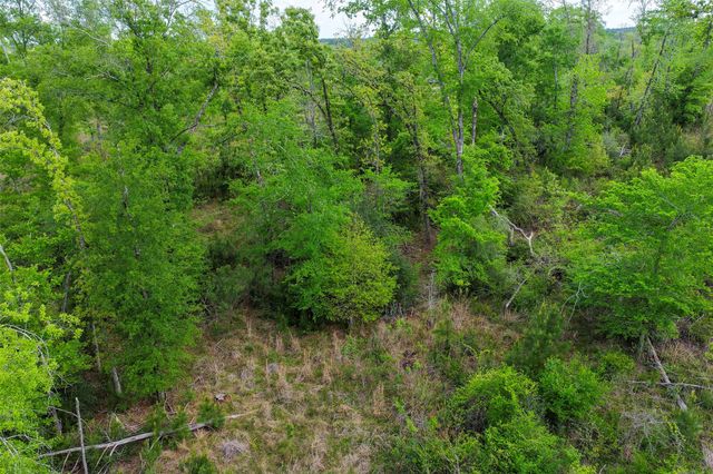 173 Townley Ranch Drive, Huntsville, TX 77320