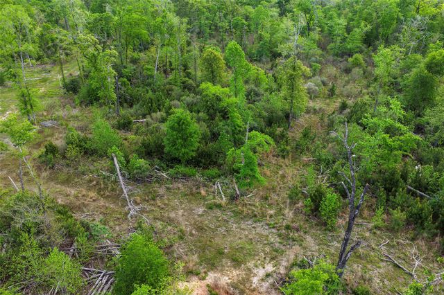 173 Townley Ranch Drive, Huntsville, TX 77320