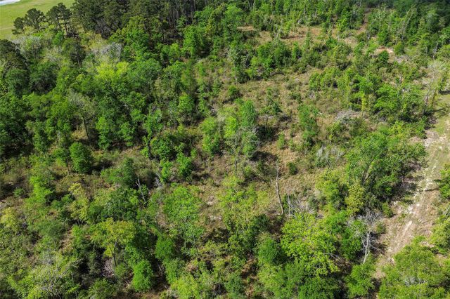 173 Townley Ranch Drive, Huntsville, TX 77320