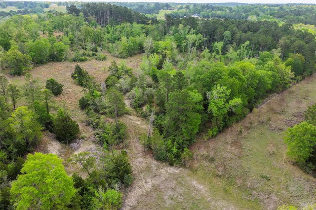 173 Townley Ranch Drive, Huntsville, TX 77320