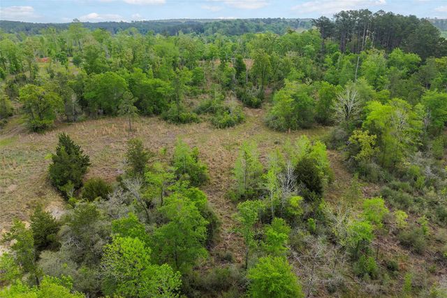 173 Townley Ranch Drive, Huntsville, TX 77320