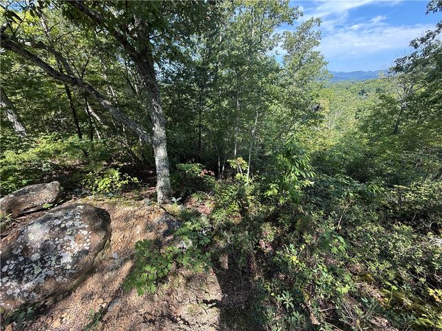 1140 Packs Mountain Ridge Road, Taylors, SC 29687