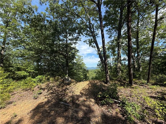 1140 Packs Mountain Ridge Road, Taylors, SC 29687