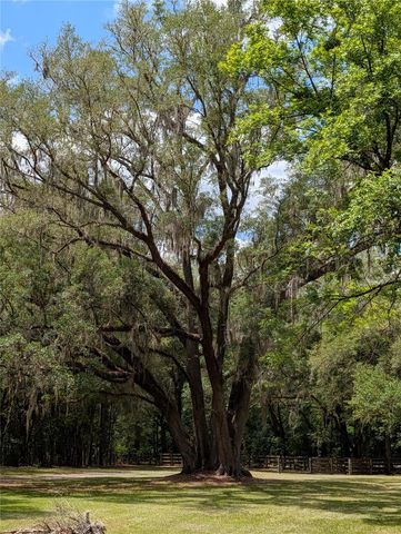 6407 NW COUNTY ROAD 235, Alachua, FL 32615