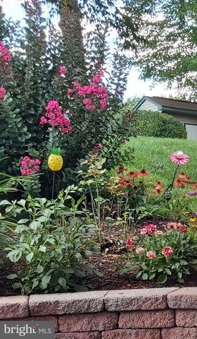 11 BRYN MAWR AVE, Pottsville, PA 17901