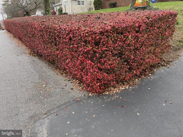 11 BRYN MAWR AVE, Pottsville, PA 17901