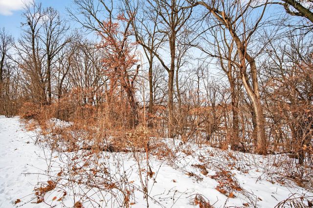 23000 Heather Ridge Drive, Rogers, MN 55374