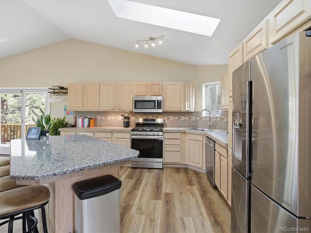 209 Pine Dr, Bailey, CO 80421
