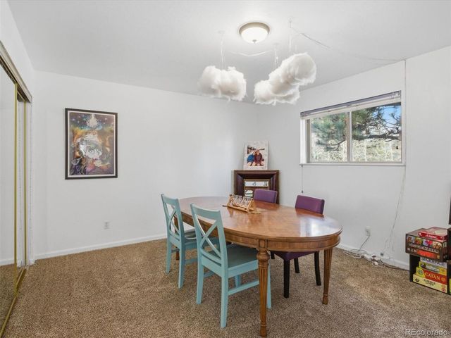 209 Pine Dr, Bailey, CO 80421