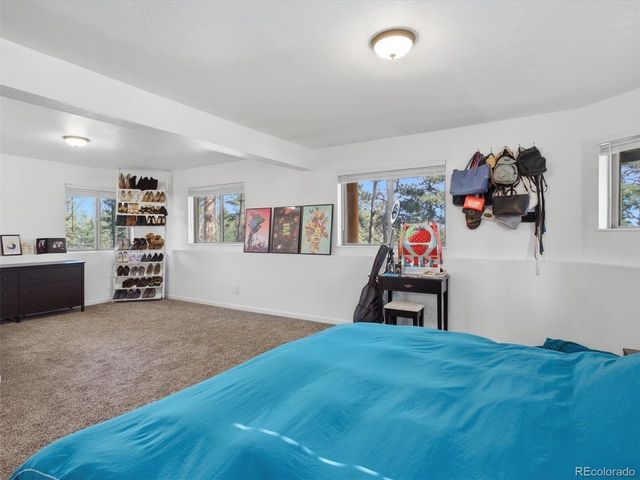 209 Pine Dr, Bailey, CO 80421