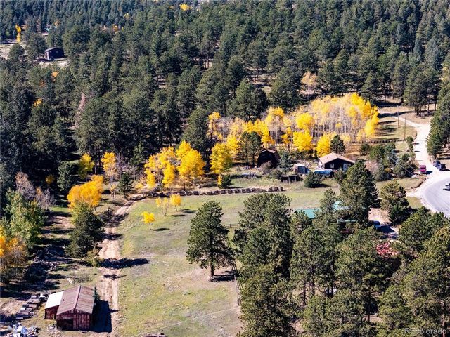 209 Pine Dr, Bailey, CO 80421