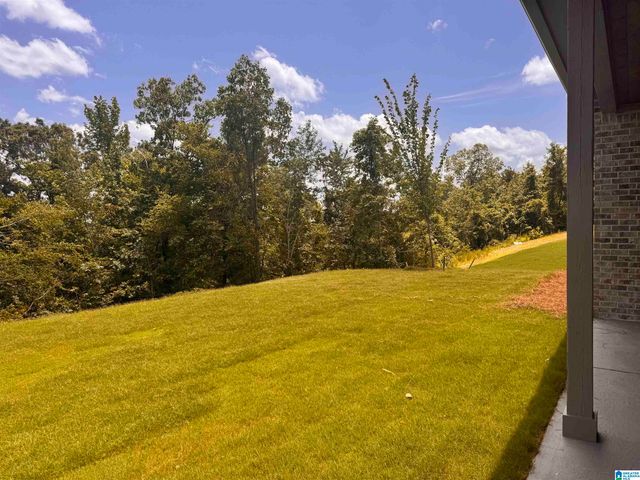 4164 BLACKRIDGE CREST, Hoover, AL 35244