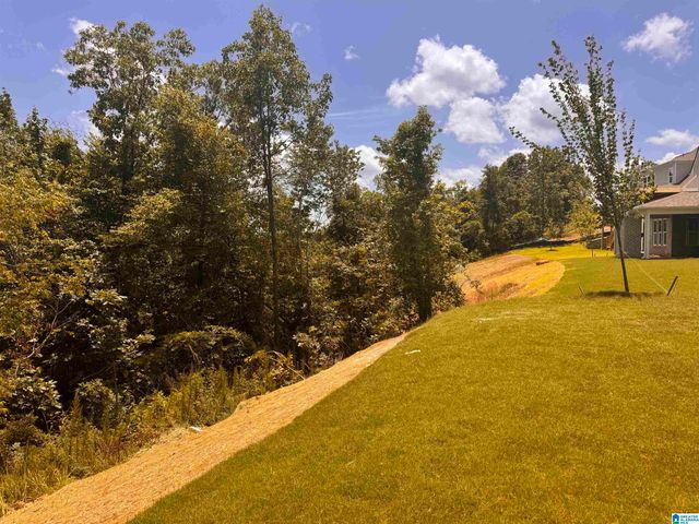 4164 BLACKRIDGE CREST, Hoover, AL 35244