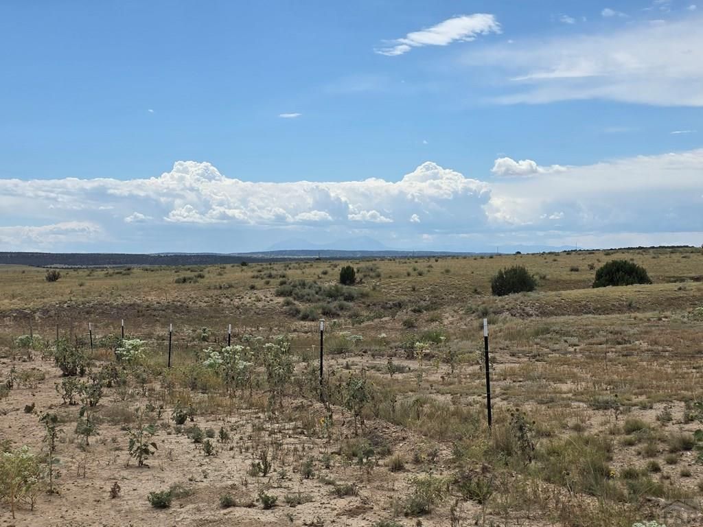 LOT 102 Cedarwood Station, Pueblo, CO 81004