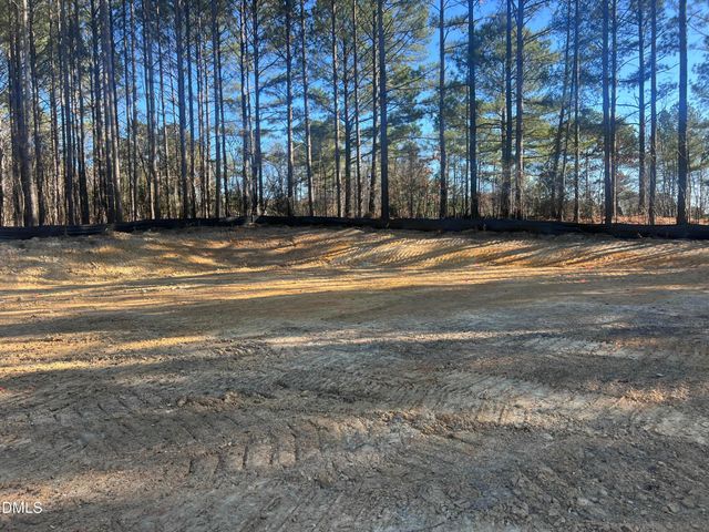 25 Blackhorn Court, Pittsboro, NC 27312