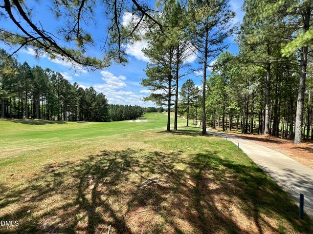 25 Blackhorn Court, Pittsboro, NC 27312