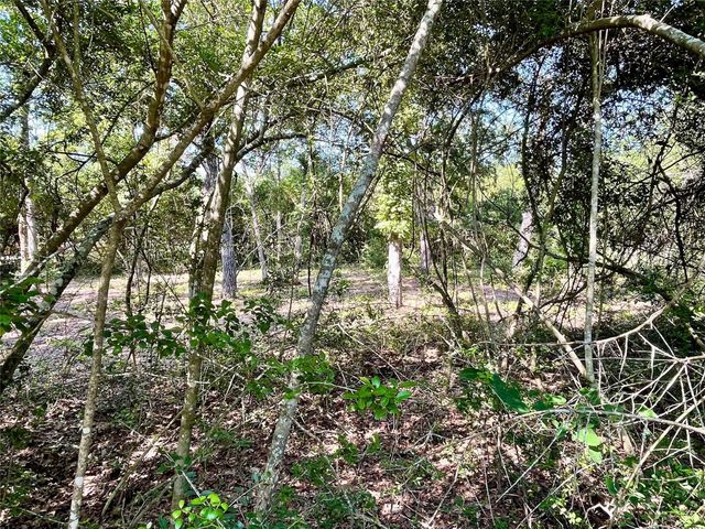 9211 Stetson Drive, Normangee, TX 77871