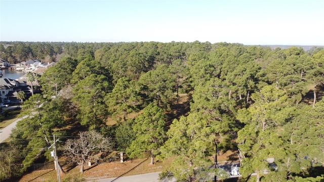 16722 Falcon Point Drive, Montgomery, TX 77356