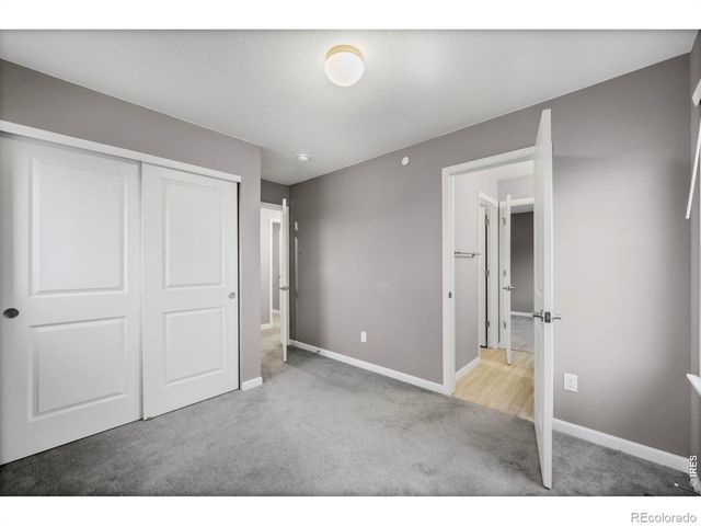 1150 Hornet Drive, Fort Collins, CO 80526