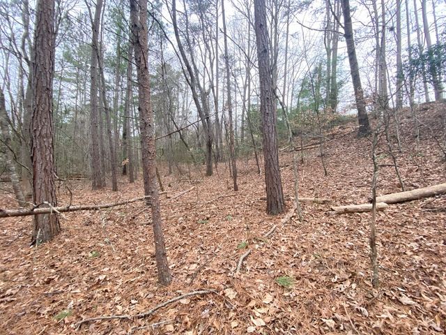 Lot 21 Broadleaf Lane, Murphy, NC 28906