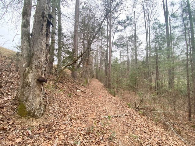Lot 21 Broadleaf Lane, Murphy, NC 28906