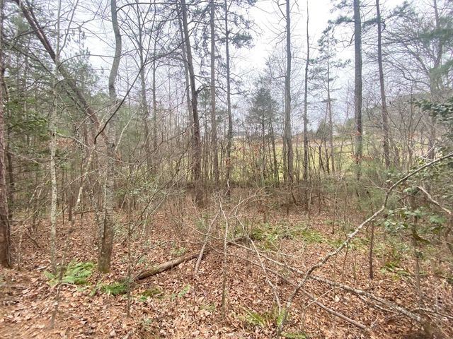 Lot 21 Broadleaf Lane, Murphy, NC 28906