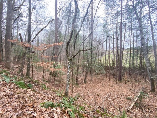 Lot 21 Broadleaf Lane, Murphy, NC 28906