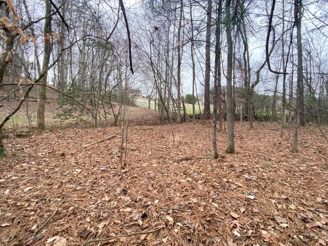 Lot 21 Broadleaf Lane, Murphy, NC 28906