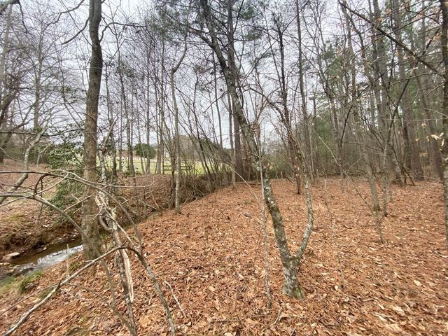 Lot 21 Broadleaf Lane, Murphy, NC 28906