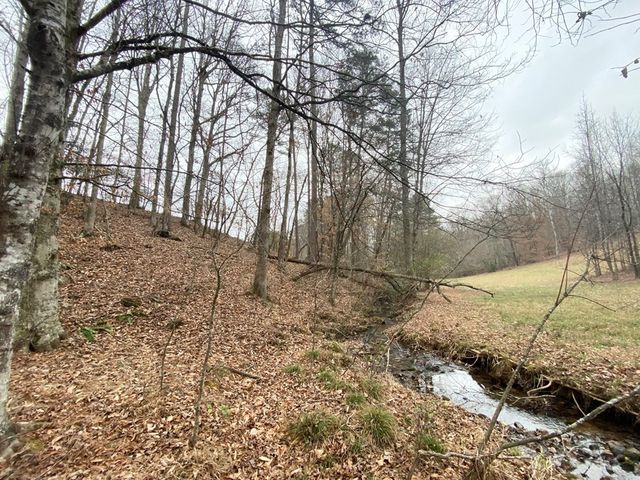 Lot 21 Broadleaf Lane, Murphy, NC 28906