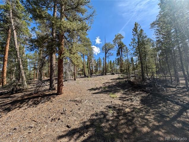 495 Birch Drive, Twin Lakes, CO 81251