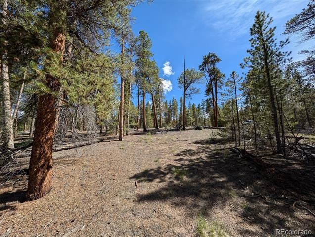 495 Birch Drive, Twin Lakes, CO 81251