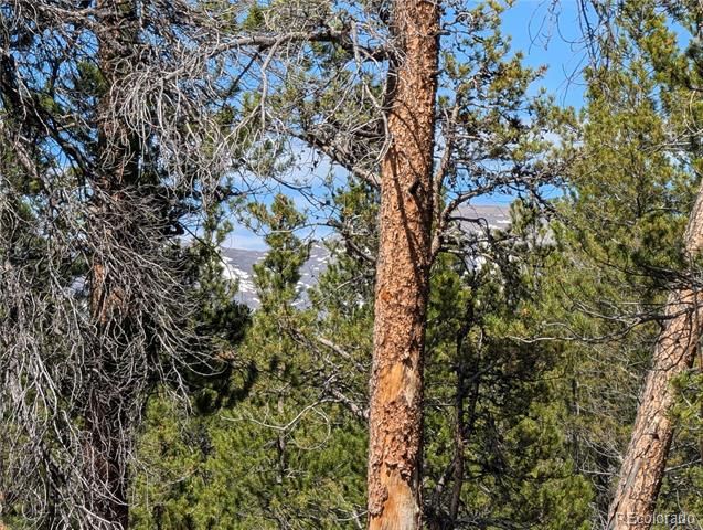495 Birch Drive, Twin Lakes, CO 81251