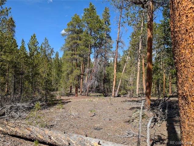 495 Birch Drive, Twin Lakes, CO 81251