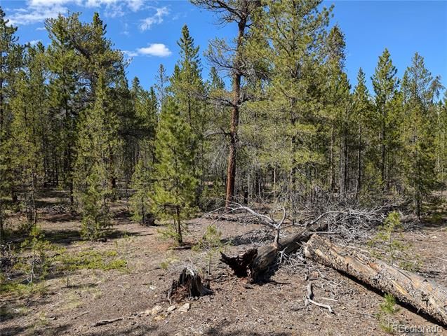 495 Birch Drive, Twin Lakes, CO 81251