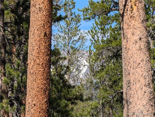 495 Birch Drive, Twin Lakes, CO 81251